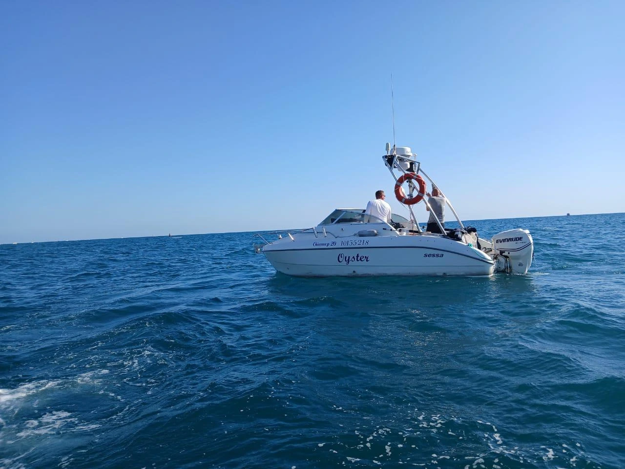 Sessa Oyster 20 Адлер