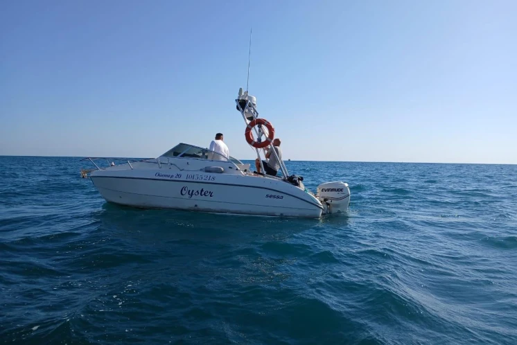Sessa Oyster 20